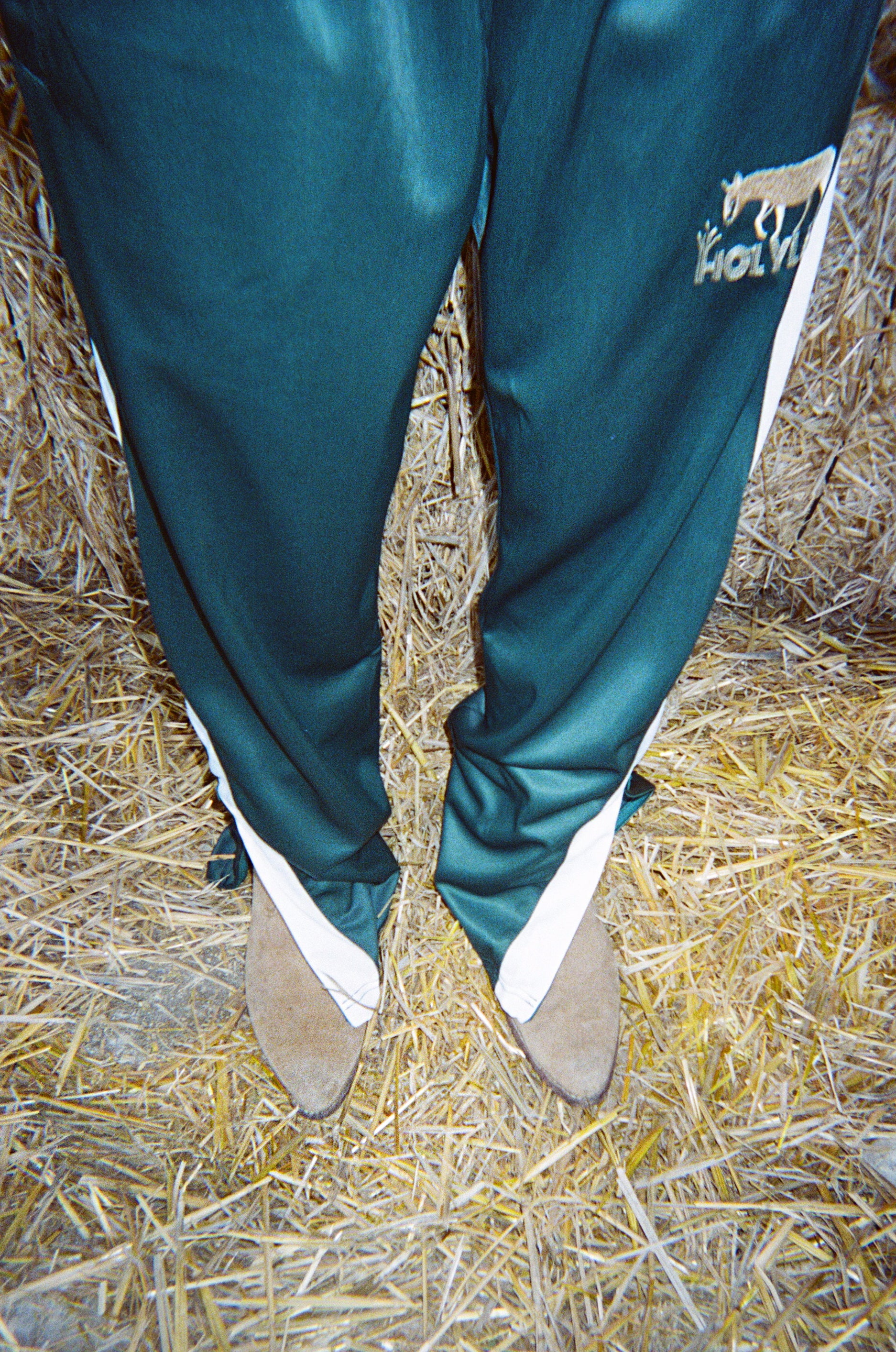 NATIVE PRO JOGGERS DONKEY HOLYLAND CIVILIANS