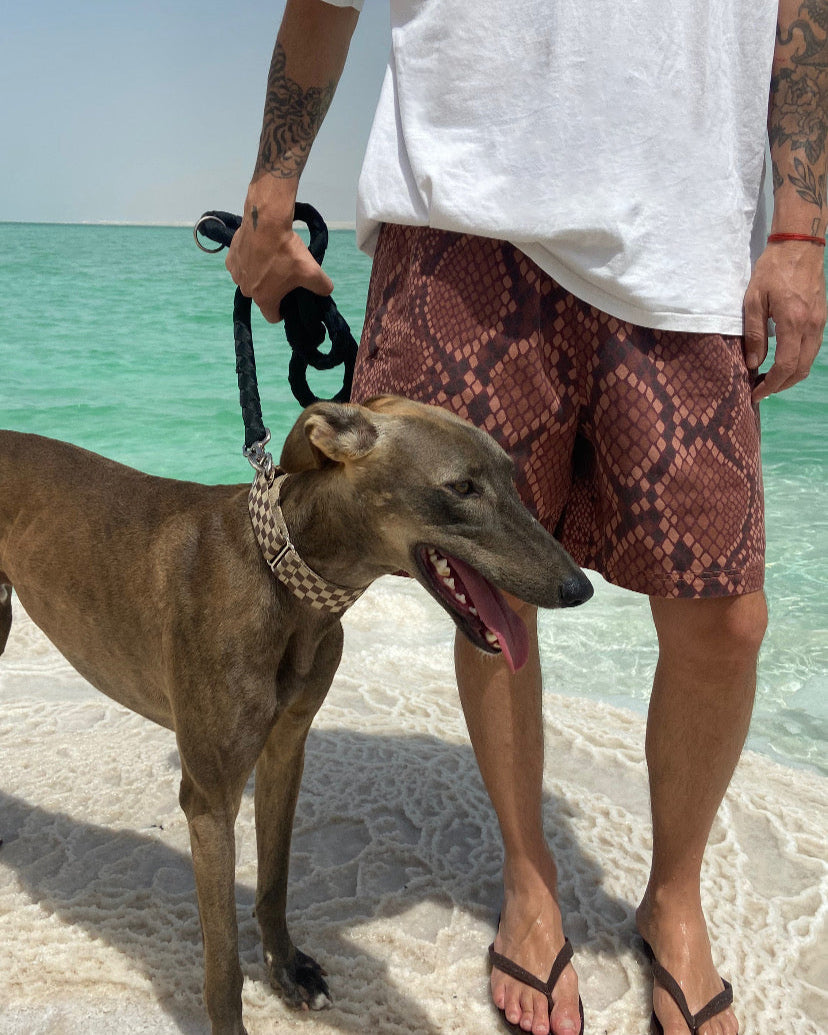 SNAKE DRILL SHORTS HOLYLAND CIVILIANS