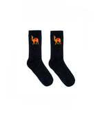 CAMEL SOCKS HOLYLAND CIVILIANS